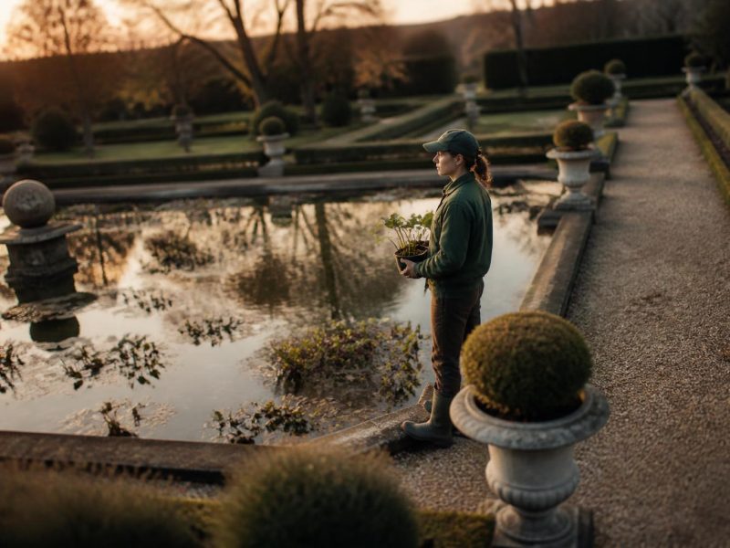 A Practical Guide to Creating a Balanced Garden Pond with Native Plant Life